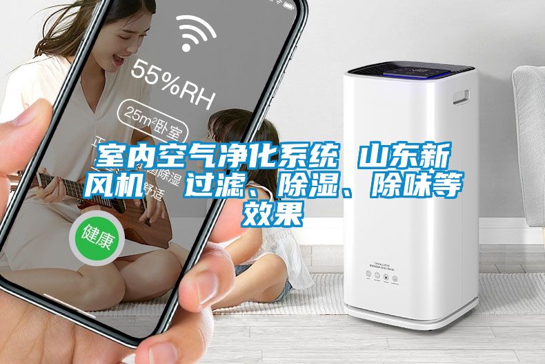 室内空气净化系统 山东新风机  过滤、除湿、除味等效果