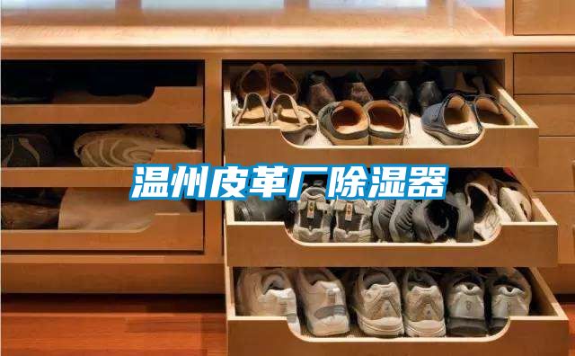 温州皮革厂除湿器