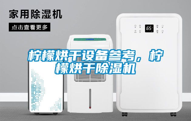 柠檬烘干设备参考，柠檬烘干除湿机