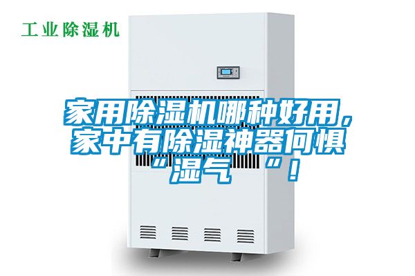 家用除湿机哪种好用，家中有除湿神器何惧 “湿气 “！