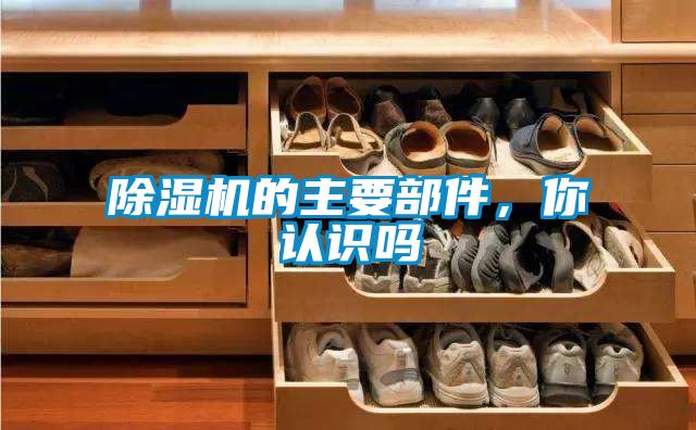 除湿机的主要部件，你认识吗