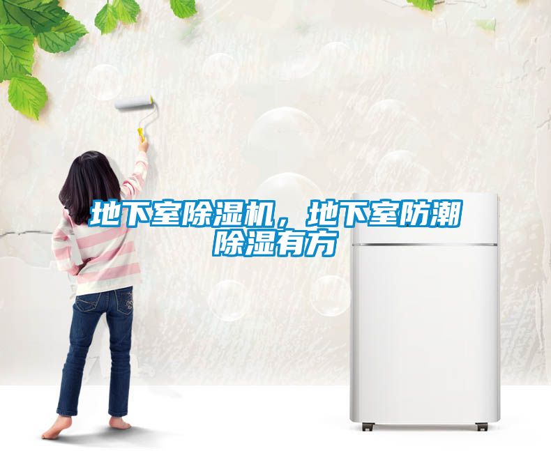 地下室除湿机，地下室防潮除湿有方