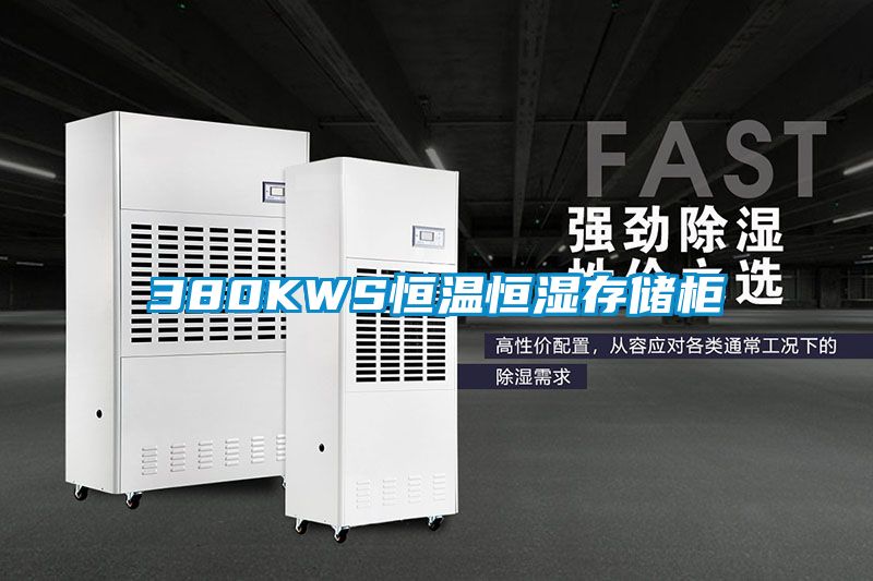 380KWS恒温恒湿存储柜