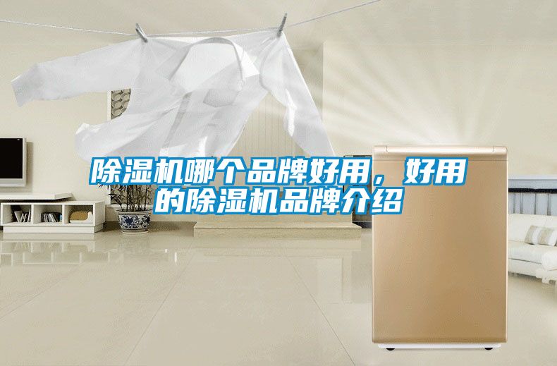 除湿机哪个品牌好用，好用的除湿机品牌介绍