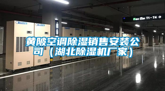 黄陂空调除湿销售安装公司（湖北除湿机厂家）