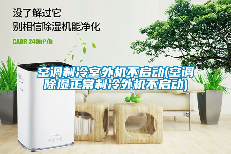 空调制冷室外机不启动(空调除湿正常制冷外机不启动)