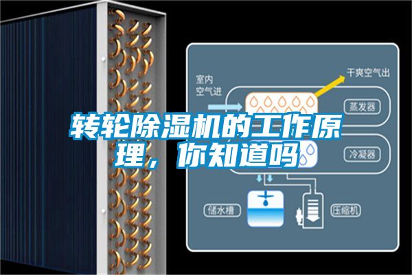 转轮除湿机的工作原理，你知道吗