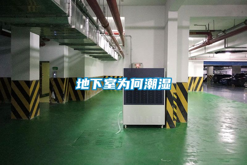 地下室为何潮湿