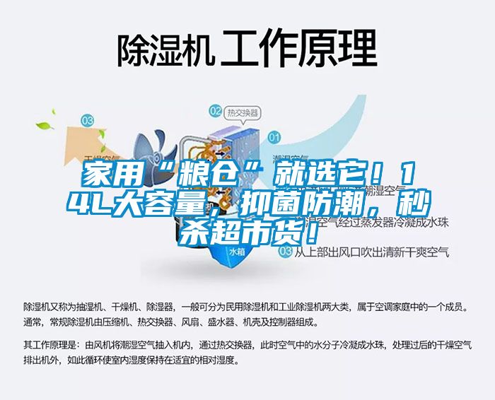 家用“粮仓”就选它！14L大容量，抑菌防潮，秒杀超市货！