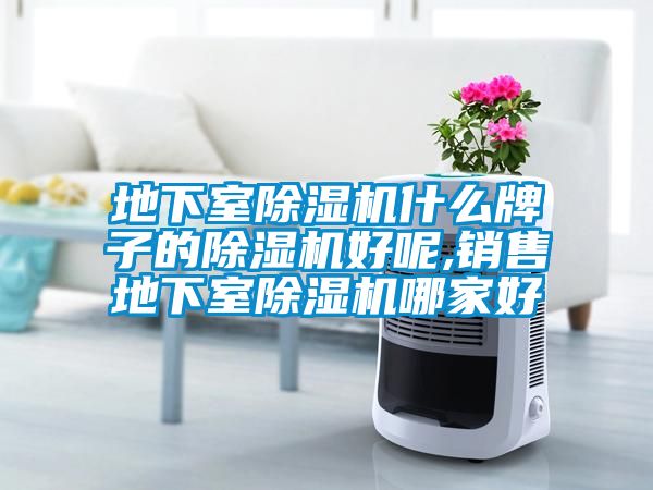 地下室除湿机什么牌子的除湿机好呢,销售地下室除湿机哪家好