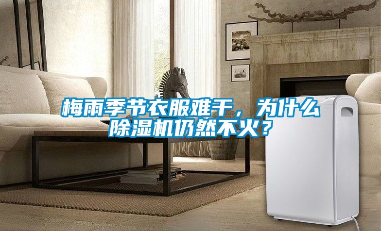 梅雨季节衣服难干，为什么除湿机仍然不火？