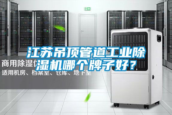 江苏吊顶管道工业除湿机哪个牌子好？