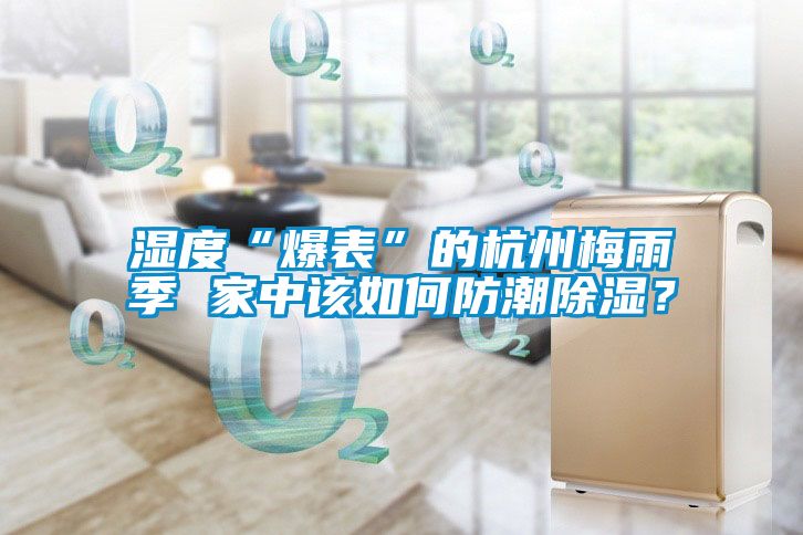湿度“爆表”的杭州梅雨季 家中该如何防潮除湿？