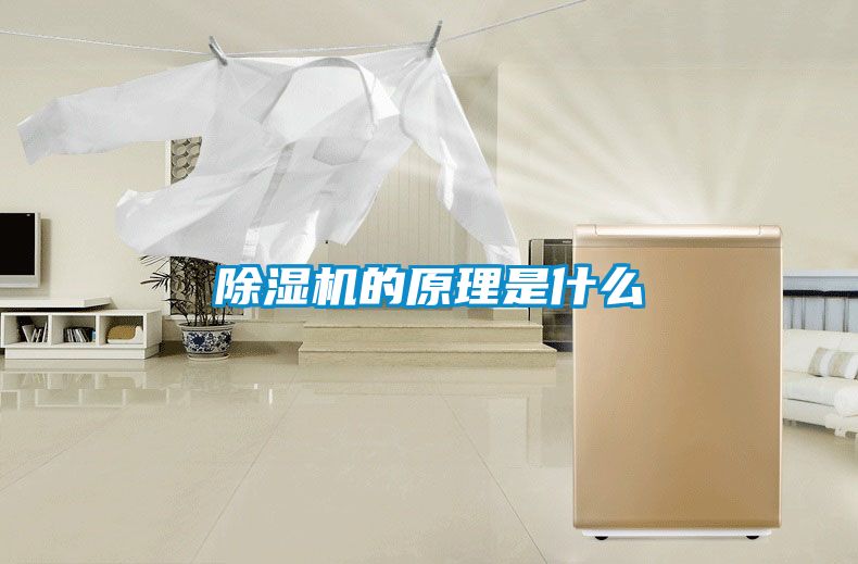 除湿机的原理是什么
