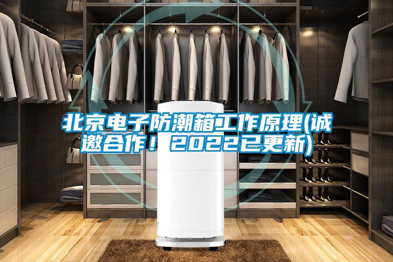 北京电子防潮箱工作原理(诚邀合作！2022已更新)