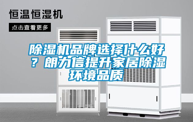 除湿机品牌选择什么好？朗力信提升家居除湿环境品质