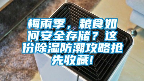 梅雨季，粮食如何安全存储？这份除湿防潮攻略抢先收藏!