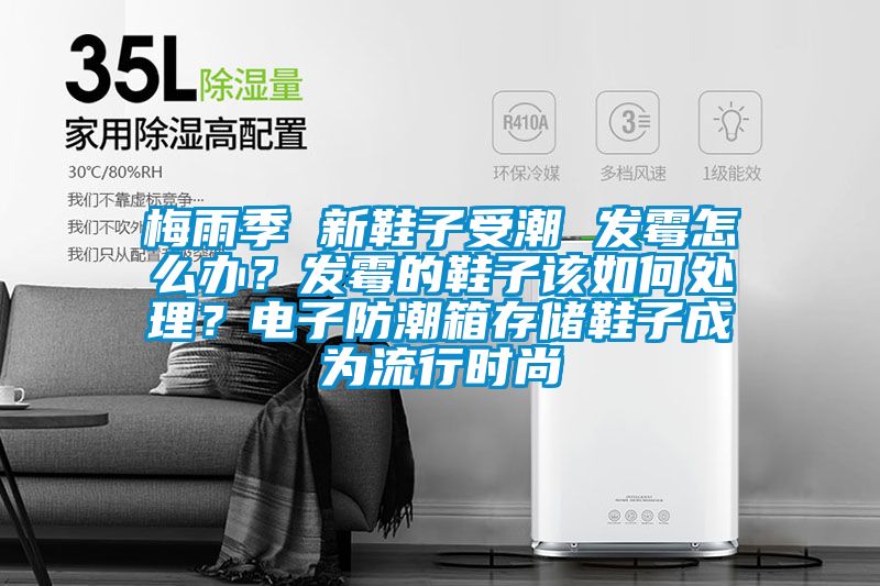 梅雨季 新鞋子受潮 发霉怎么办？发霉的鞋子该如何处理？电子防潮箱存储鞋子成为流行时尚