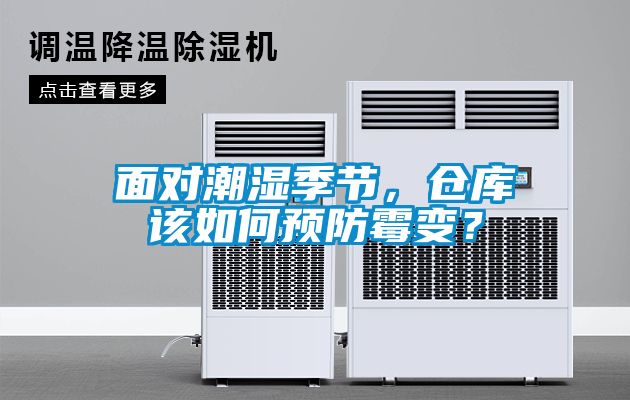 面对潮湿季节，仓库该如何预防霉变？