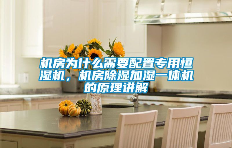 机房为什么需要配置专用恒湿机，机房除湿加湿一体机的原理讲解
