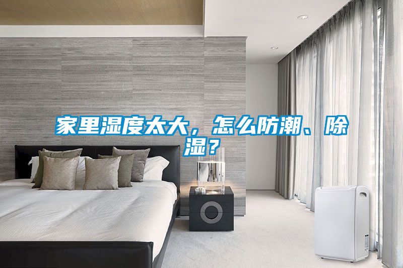 家里湿度太大，怎么防潮、除湿？