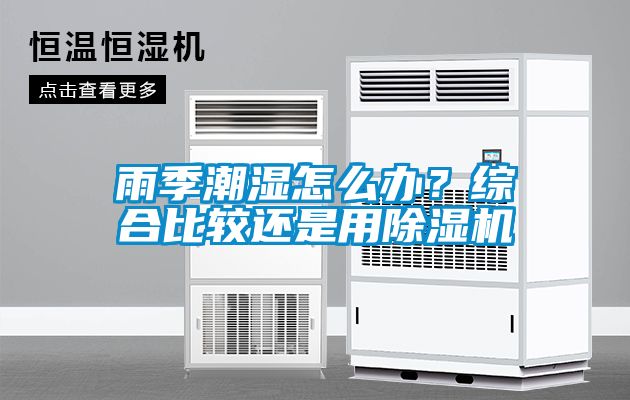 雨季潮湿怎么办？综合比较还是用除湿机