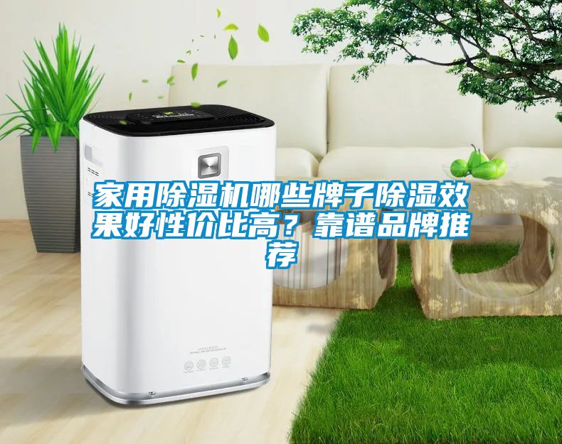 家用除湿机哪些牌子除湿效果好性价比高？靠谱品牌推荐