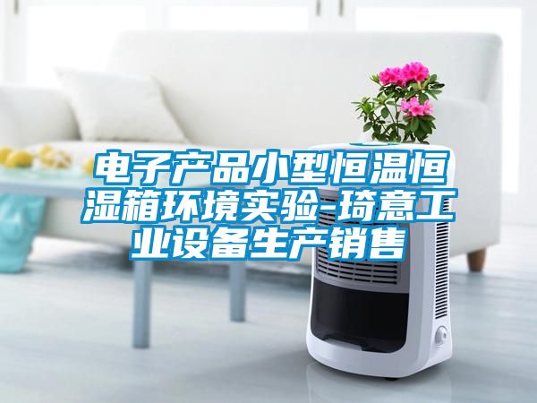 电子产品小型恒温恒湿箱环境实验-琦意工业设备生产销售