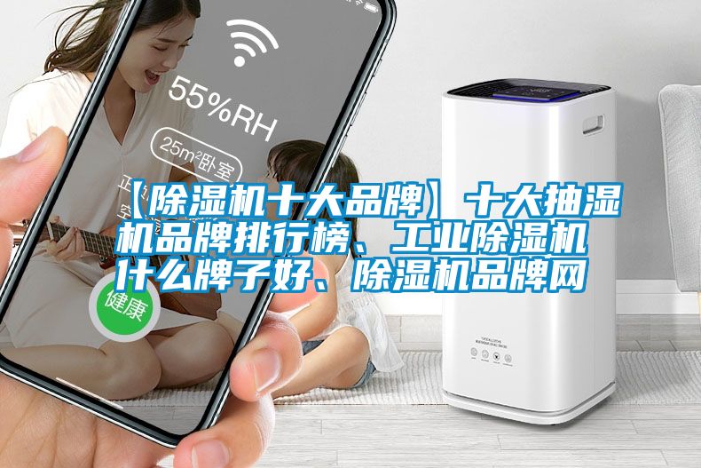 【除湿机十大品牌】十大抽湿机品牌排行榜、工业除湿机什么牌子好、除湿机品牌网