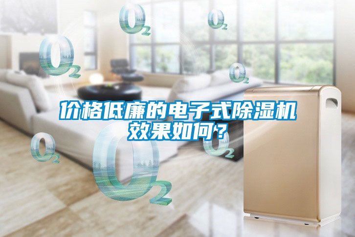 价格低廉的电子式除湿机效果如何？