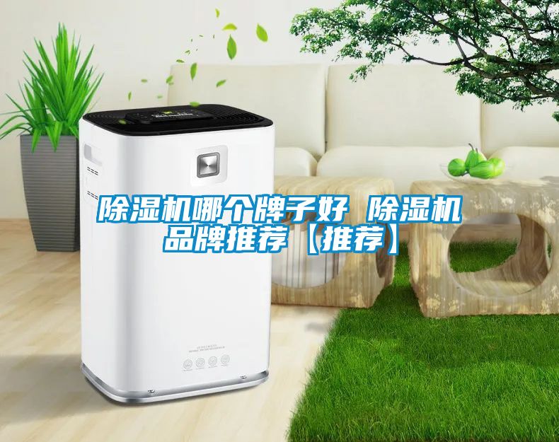 除湿机哪个牌子好 除湿机品牌推荐【推荐】