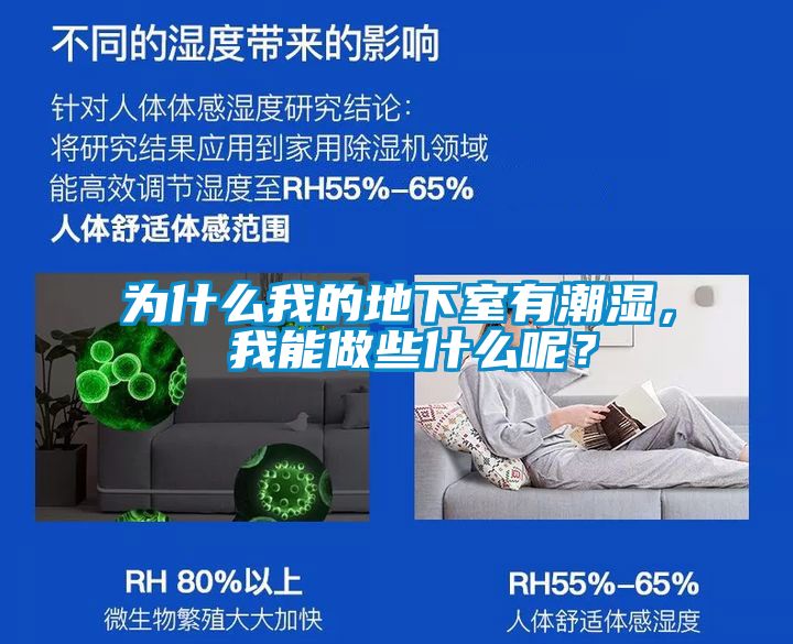 为什么我的地下室有潮湿， 我能做些什么呢？