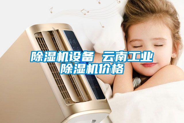 除湿机设备 云南工业除湿机价格