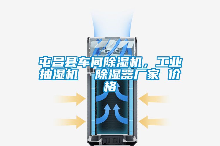 屯昌县车间除湿机，工业抽湿机  除湿器厂家 价格