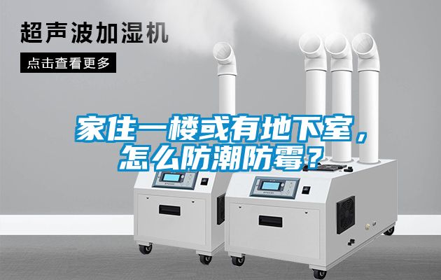 家住一楼或有地下室，怎么防潮防霉？
