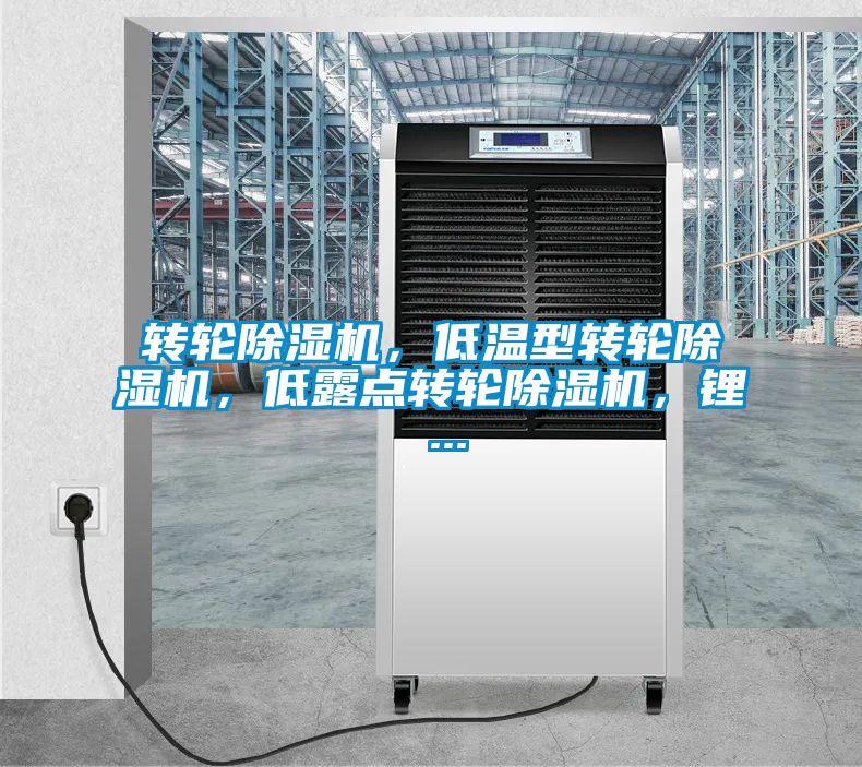 转轮除湿机，低温型转轮除湿机，低露点转轮除湿机，锂 ...