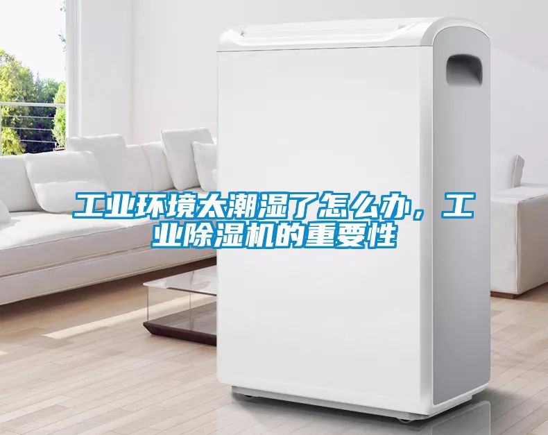 工业环境太潮湿了怎么办，工业除湿机的重要性