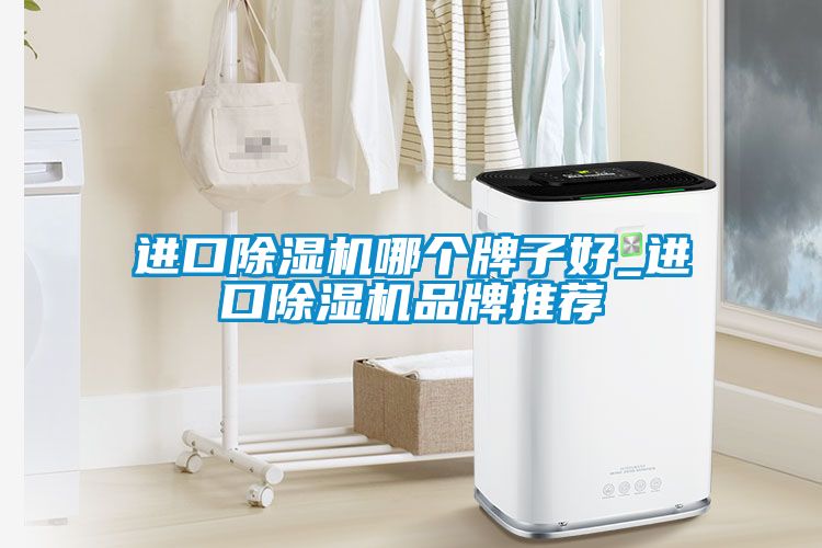 进口除湿机哪个牌子好_进口除湿机品牌推荐