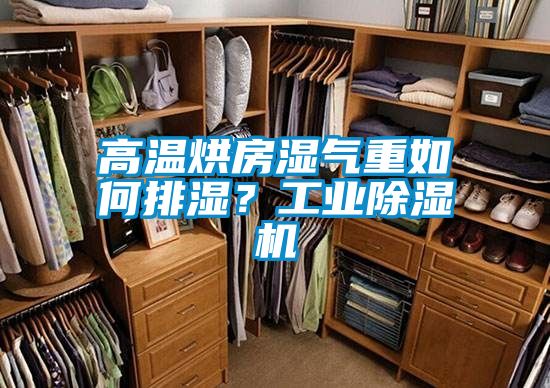 高温烘房湿气重如何排湿？工业除湿机
