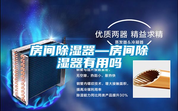 房间除湿器—房间除湿器有用吗