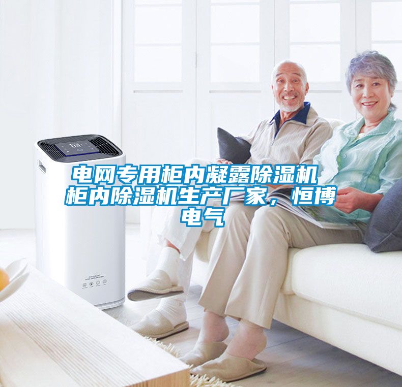 电网专用柜内凝露除湿机 柜内除湿机生产厂家，恒博电气