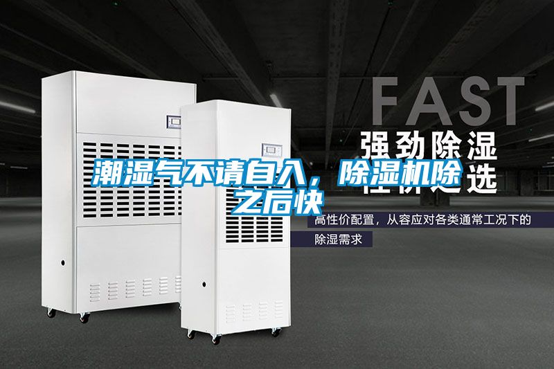 潮湿气不请自入，除湿机除之后快