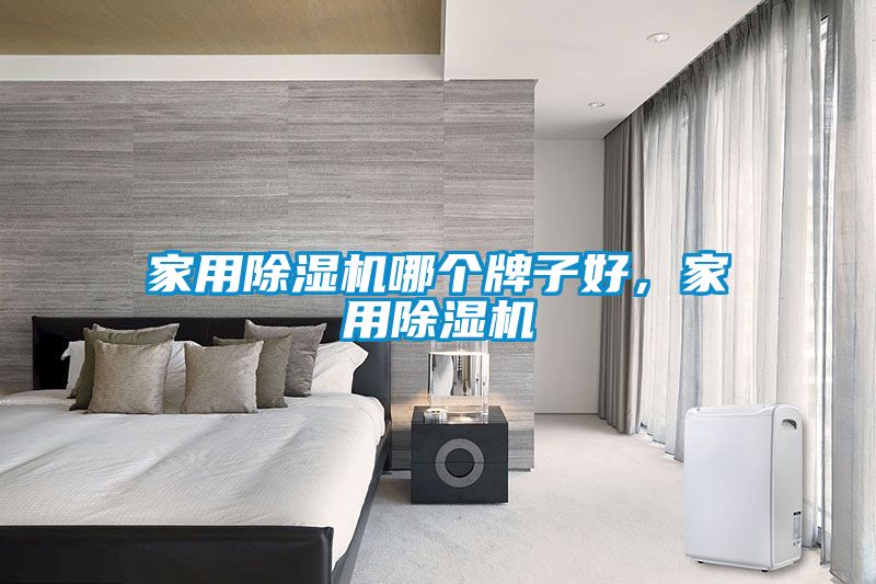 家用除湿机哪个牌子好，家用除湿机