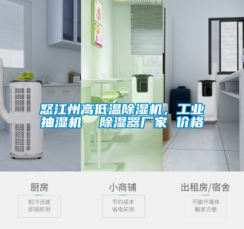 怒江州高低温除湿机，工业抽湿机  除湿器厂家 价格