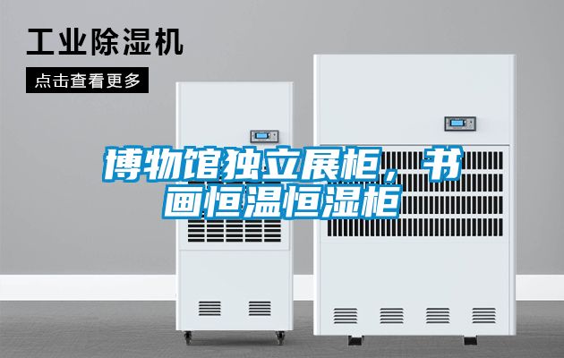 博物馆独立展柜，书画恒温恒湿柜