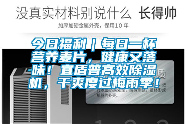 今日福利｜每日一杯营养麦片，健康又落味！宜盾普高效除湿机，干爽度过梅雨季！