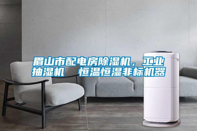 眉山市配电房除湿机，工业抽湿机  恒温恒湿非标机器