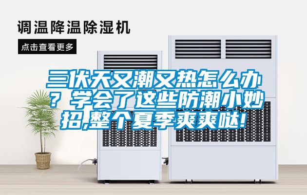 三伏天又潮又热怎么办？学会了这些防潮小妙招,整个夏季爽爽哒!