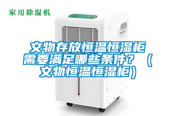 文物存放恒温恒湿柜需要满足哪些条件？（文物恒温恒湿柜）