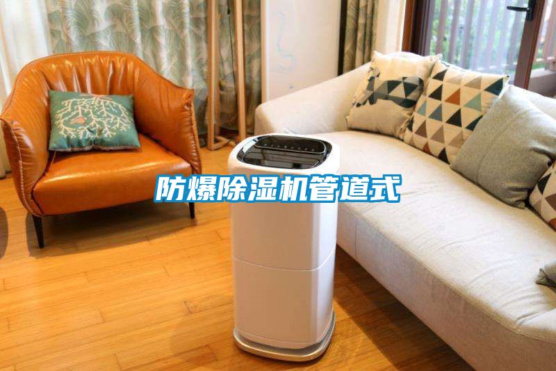 防爆除湿机管道式